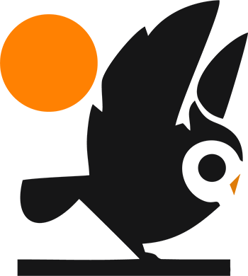 OneNightIn.city logo